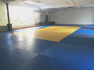 Mats in the Dojo